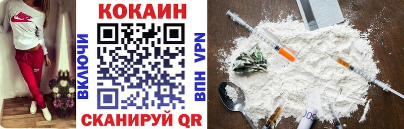 COCAIN Fish Scale  где купить наркотик  Камешково 
