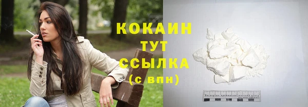 spice Алексин