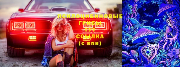 spice Алексин