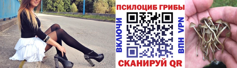 Псилоцибиновые грибы прущие грибы купить наркотик Камешково